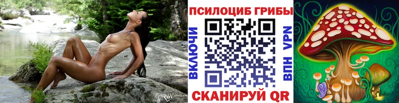 Псилоцибиновые грибы GOLDEN TEACHER  Купить  Аргун 